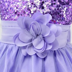 Robe Princesse Violette pour Mariage